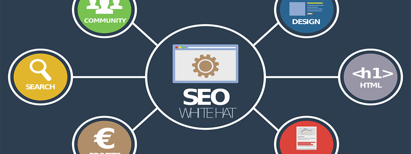 SEO Service